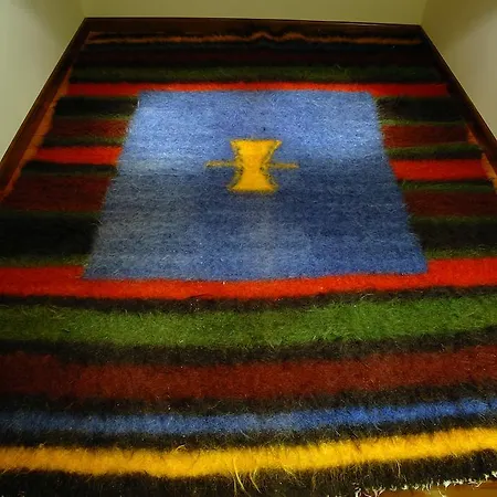 Guest house Dragneva 3*